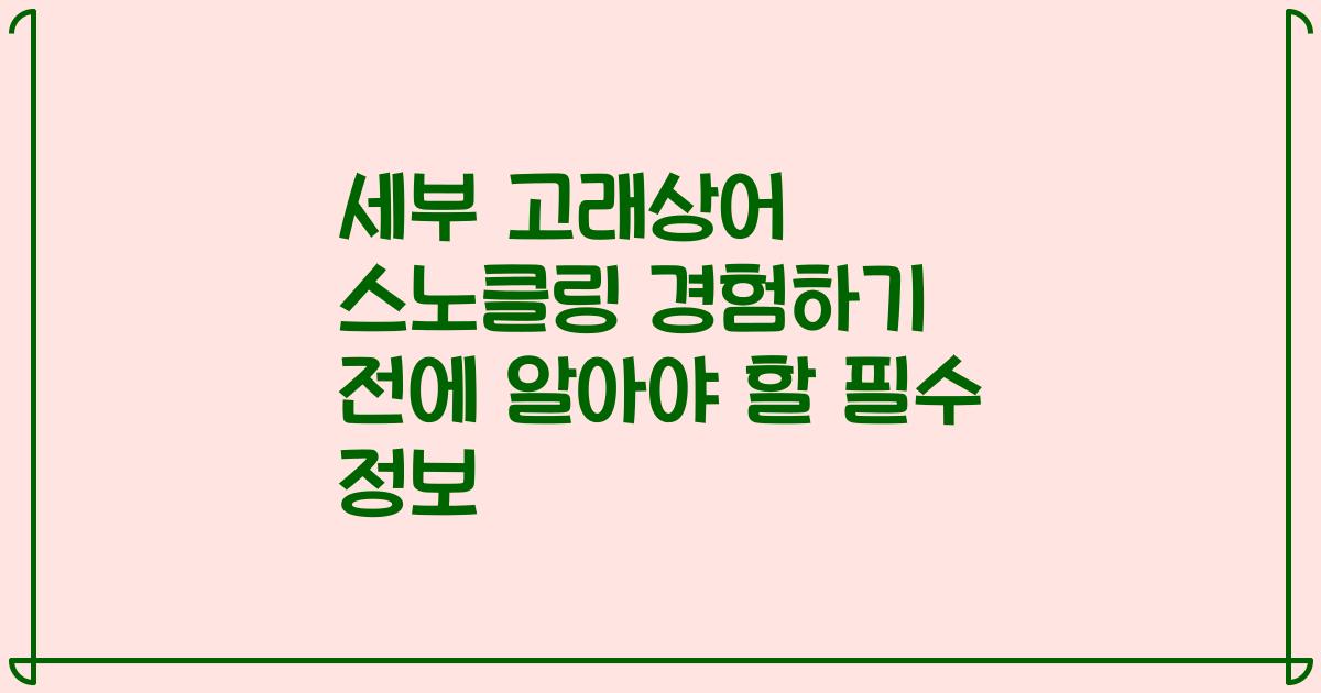 세부 고래상어 스노클링 경험하기 전에 알아야 할 필수 정보