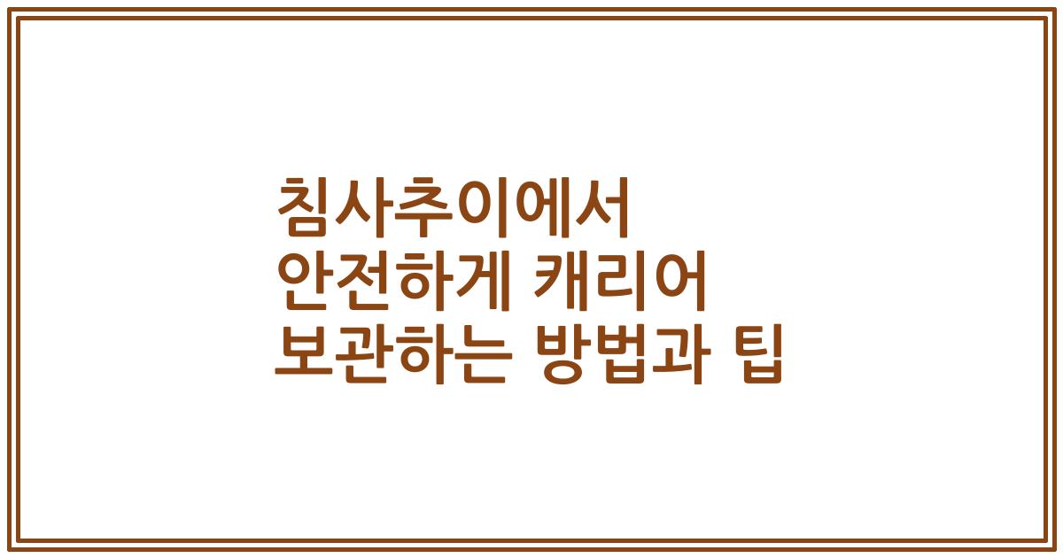 침사추이에서 안전하게 캐리어 보관하는 방법과 팁